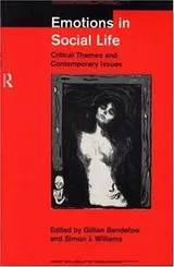 Cover of Emotions in social life