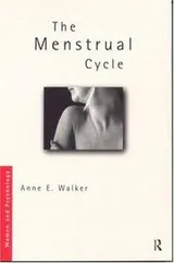 Cover of The menstrual cycle