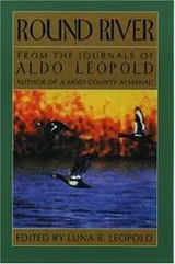 Cover of Round River