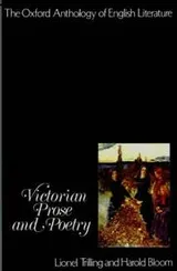 Cover of Victorian prose and poetry