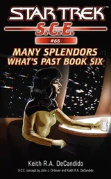 Cover of Star Trek S.C.E. - What's Past - Many Splendors