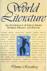 Cover of World Literature