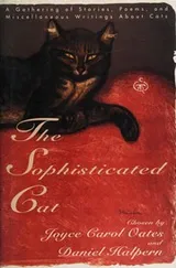 Cover of The Sophisticated Cat
