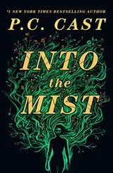Cover of Into the Mist