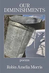 Cover of Our Diminishments