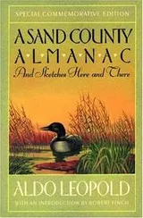 Cover of A Sand County almanac, and Sketches here and there