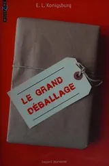 Cover of Le grand déballage