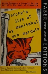 Cover of Archys life of Mehitabel