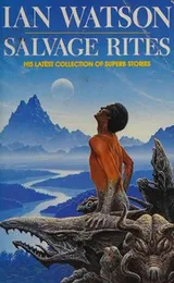 Cover of Salvage rites and other stories