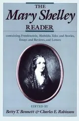 Cover of The Mary Shelley Reader