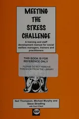 Cover of Meeting the stress challenge