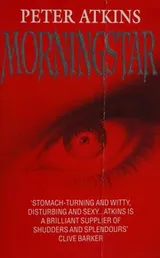Cover of Morningstar