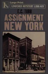 Cover of Assignment New York