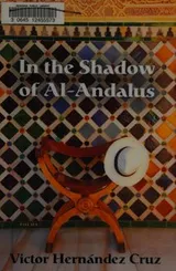 Cover of In the shadow of al-Andalus