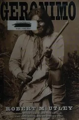 Cover of Geronimo
