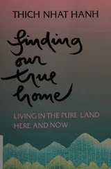 Cover of Finding Our True Home