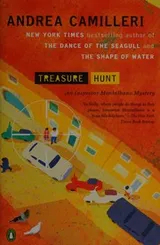 Cover of Treasure hunt