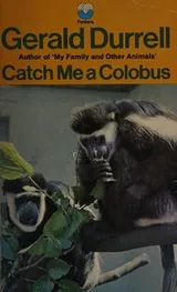 Cover of Catch me a colobus