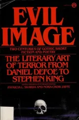 Cover of The Evil Image
