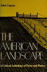 Cover of The American Landscape
