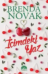 Cover of Icimdeki Yaz