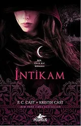 Cover of Intikam
