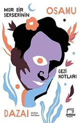 Cover of Mor Bir Serserinin Gezi Notlari