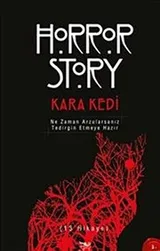 Cover of Kara Kedi