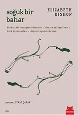 Cover of Soguk Bir Bahar