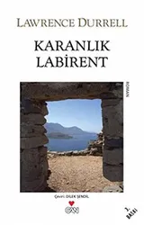 Cover of Karanlik Labirent