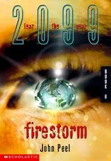 Cover of Firestorm