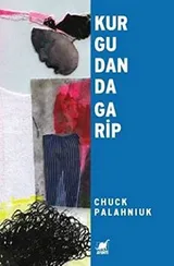 Cover of Kurgudan da Garip