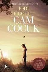 Cover of Cam Cocuk