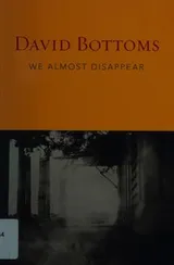Cover of We almost disappear