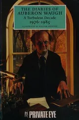 Cover of The diaries of Auberon Waugh, 1976-1985