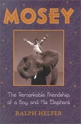 Cover of Mosey