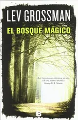 Cover of El bosque magico