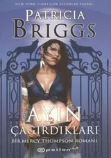 Cover of Ayin Cagirdiklari