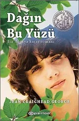 Cover of Dagin Bu yuzu