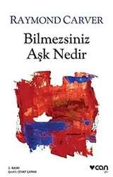 Cover of Bilmezsiniz Ask Nedir