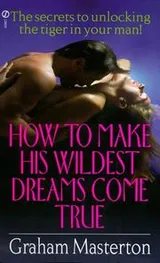 Cover of How to Make His Wildest Dreams Come True
