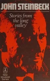 Cover of Stories from the Long Valley