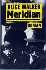 Cover of Meridian