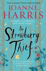 Cover of Strawberry Thief