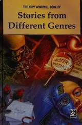 Cover of The New Windmill Book of Stories from Different Genres