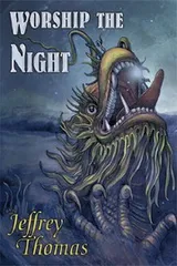 Cover of Worship The Night