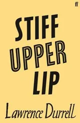 Cover of Stiff Upper Lip