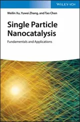 Cover of Single Particle Nanocatalysis