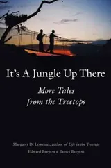 Cover of It's a Jungle up There
