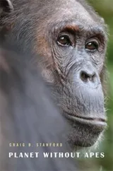 Cover of Planet Without Apes